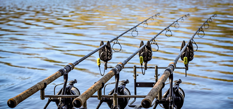 Comment choisir son matériel de pêche en fonction de son environnement ?